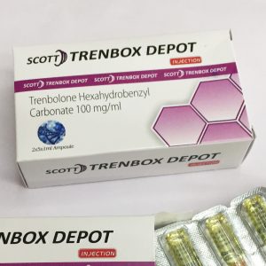 Trenbox Depot for sale