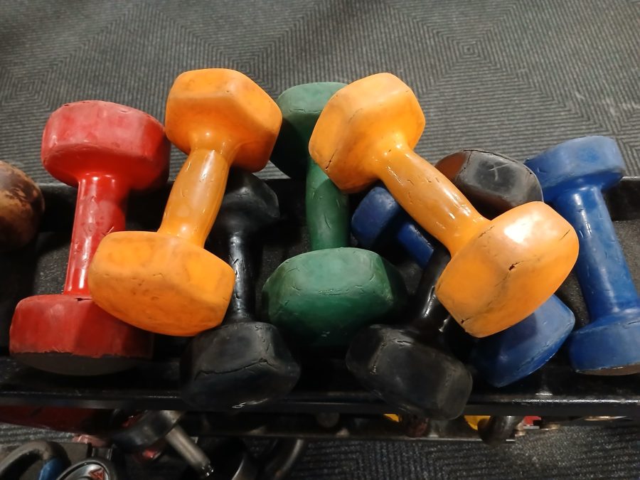 Colorful dumbbells stacked in a gym